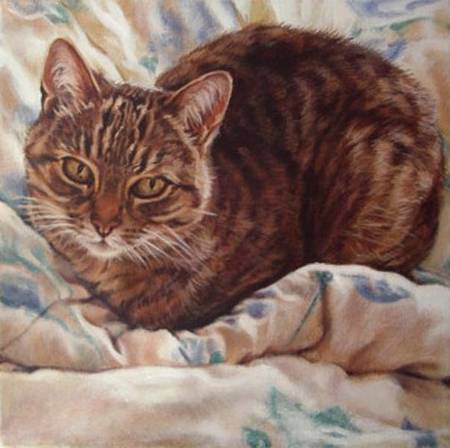 Thumbnail Cinny on Quilt acrylic animal painting by Jocelyn Ball-Hansen