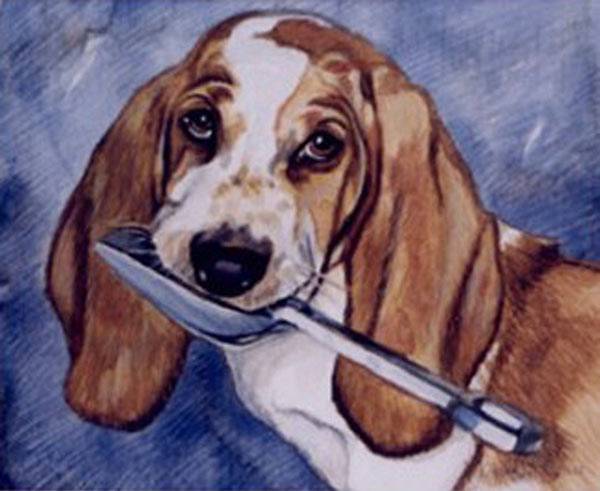 Beagle watercolour painting by Jocelyn Ball-Hansen